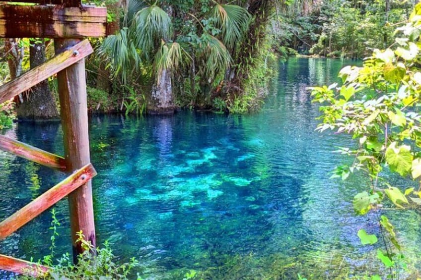 A wooden bridge over clear blue water with tropical vegetation. 4