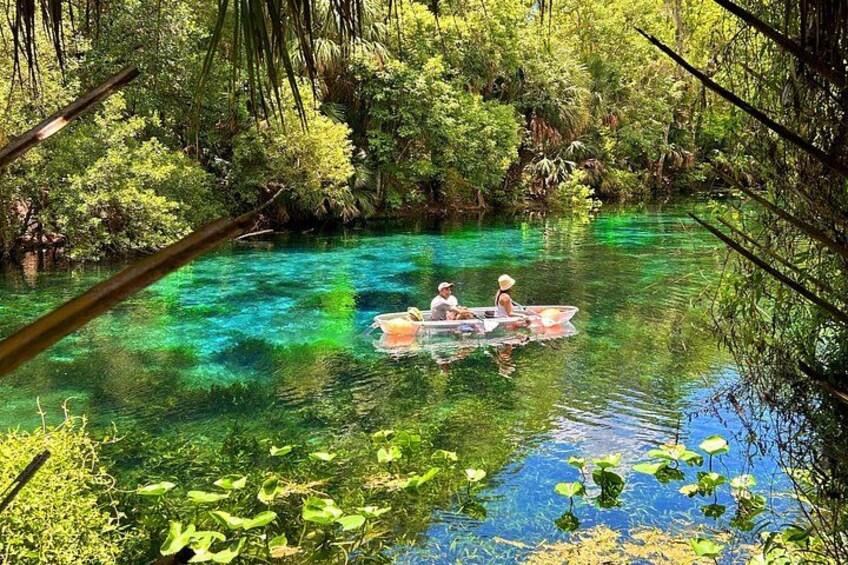 Silver Springs Jungle Kayaking and Paddleboarding 1