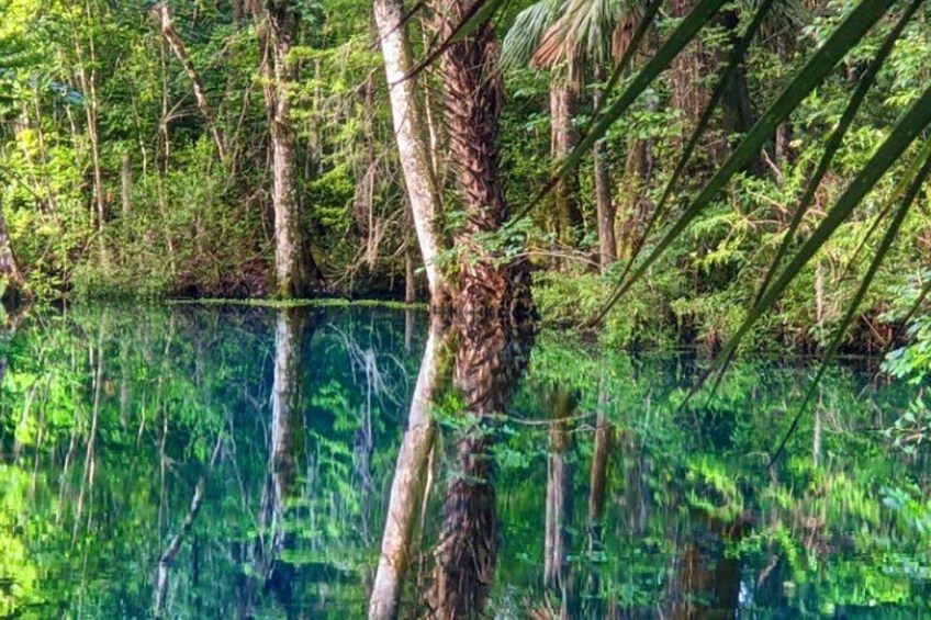 Silver Springs Jungle Kayaking and Paddleboarding 4
