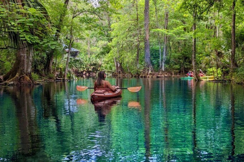 Silver Springs Jungle Kayaking and Paddleboarding 3
