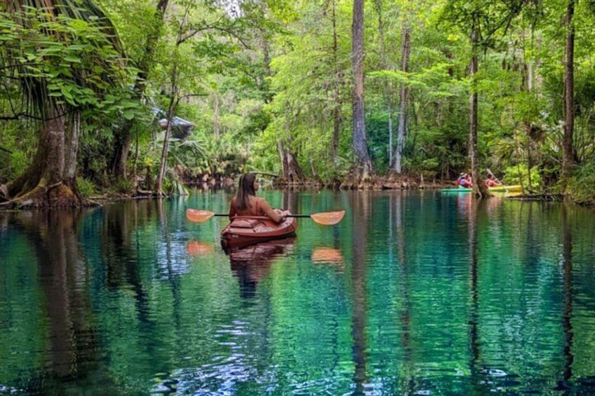 A person kayaking in a forested river surrounded by dense trees. 2