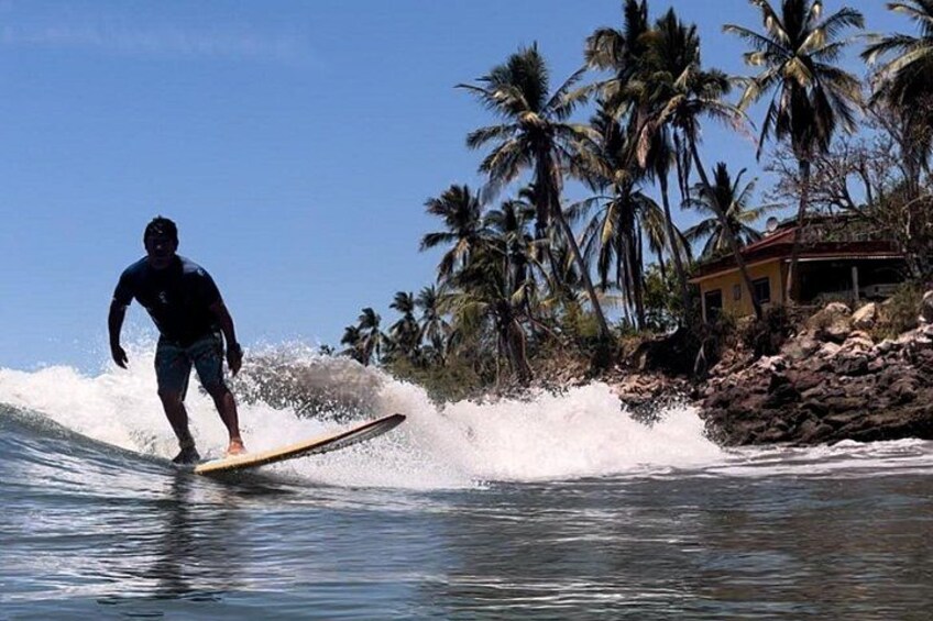 A surfer riding a wave near a rocky shore with palm trees in the background. 1