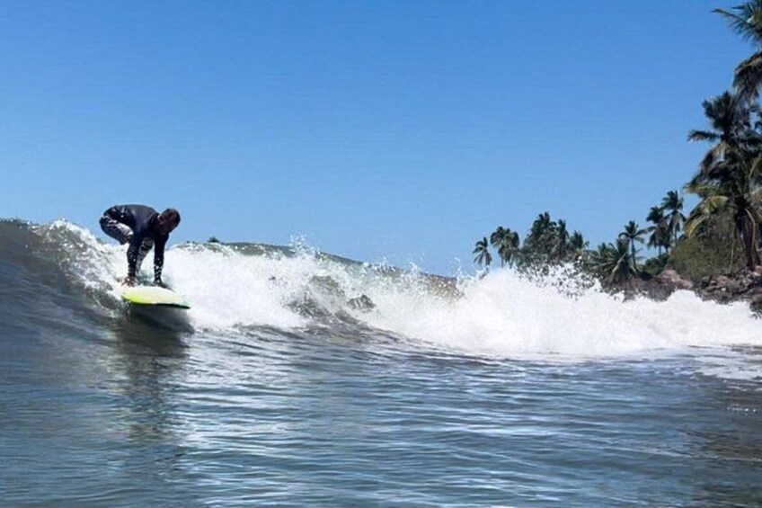 A surfer riding a wave in the ocean with palm trees in the background. 2