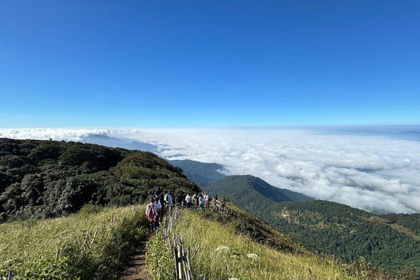 Een wandelpad met mensen die lopen, omgeven door weelderige groene heuvels en een laag wolken. 1