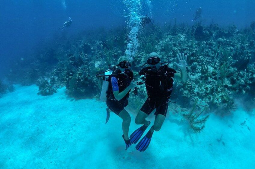 Due subacquei esplorano una barriera corallina sott'acqua. 3