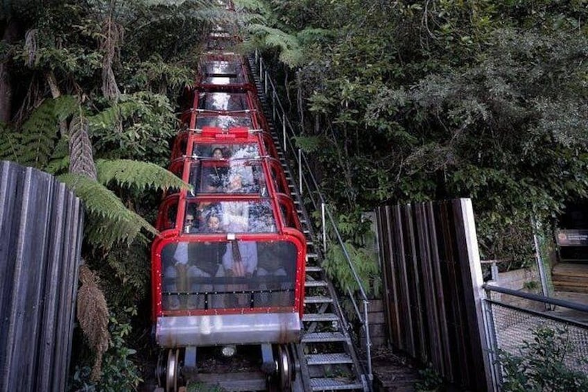 A red cable car ascending a steep, narrow track surrounded by dense greenery. 3