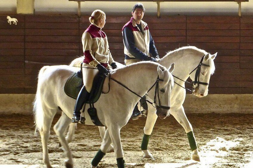 The Cradle of Lipizzaner horses - Half Day Trip from Ljubljana 3