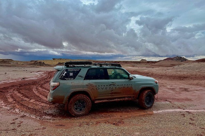 A white SUV with 'Western Whippet Adventures' on the side parked on a dirt road in a desert landscape. 3