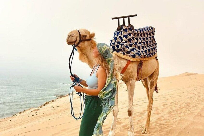 A person leading a camel with a saddle on a sandy beach near the ocean. 4