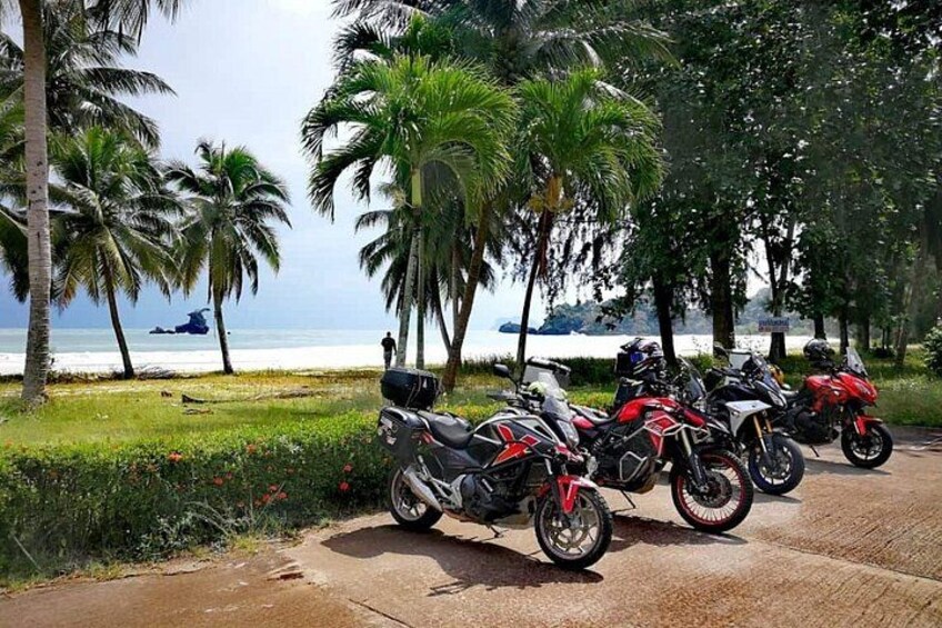 A row of motorcycles parked on a paved path beside a beach with palm trees and the ocean in the background. 2