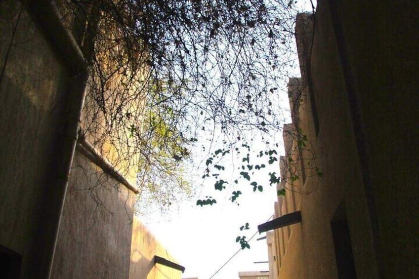 Une ruelle étroite bordée de bâtiments des deux côtés, avec la lumière du soleil filtrant à travers les arbres et un lampadaire. 2