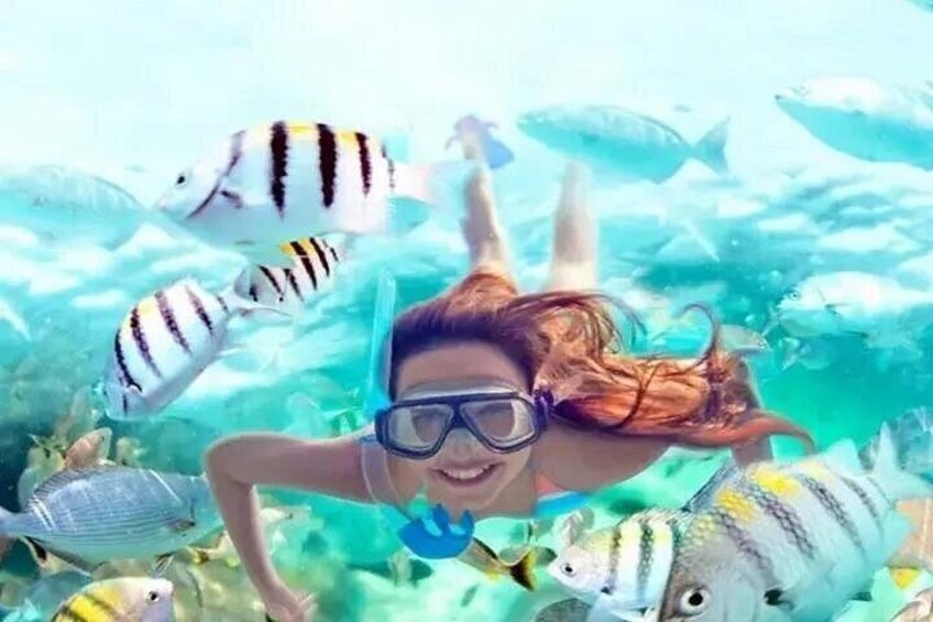 Wonders of Orange Island, Snorkeling Adventure & Lunch : Hurghada 5