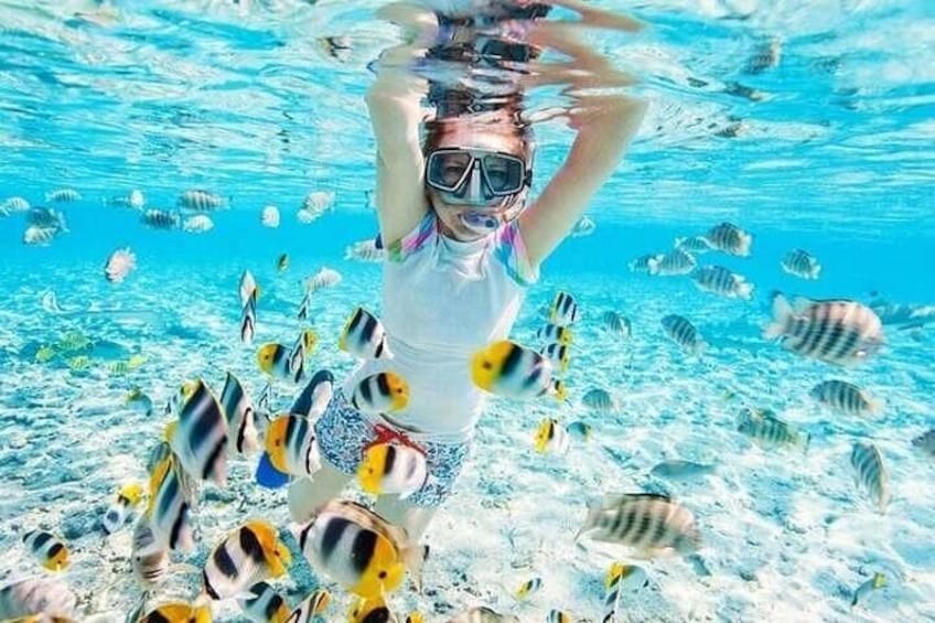 A person snorkeling underwater surrounded by fish. 5