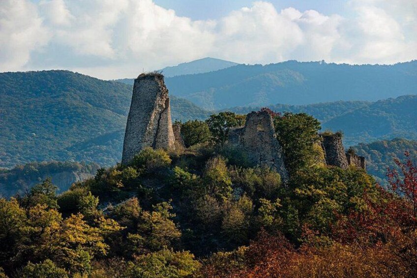 Full-Day Wine Tour in Georgia's Kakheti Region 3