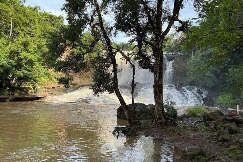A waterfall, trees, and a rocky riverbank. 4