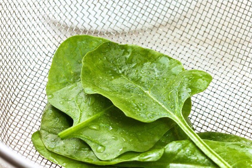 Fresh spinach leaves with water droplets on a mesh surface. 3
