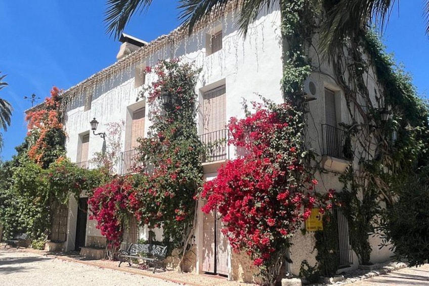 Un bâtiment aux murs blancs et aux balcons, entouré d’une végétation luxuriante et de magnifiques fleurs de bougainvillier aux couleurs vives. 2