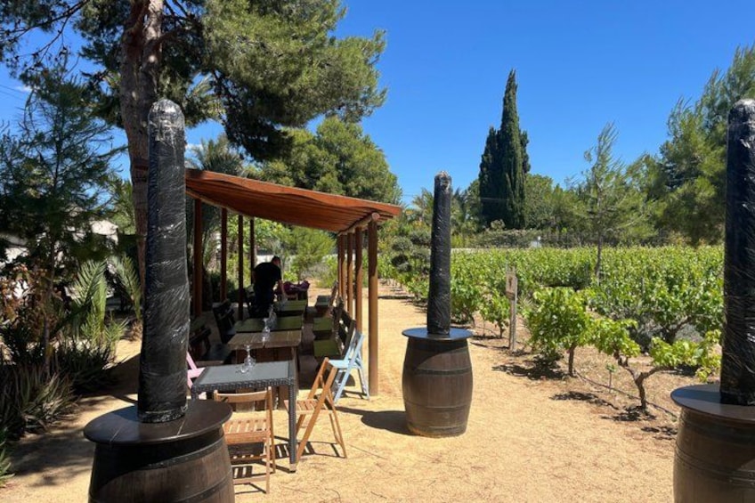 A vineyard with rows of grapevines, outdoor seating under a pergola, and large decorative vases. 2