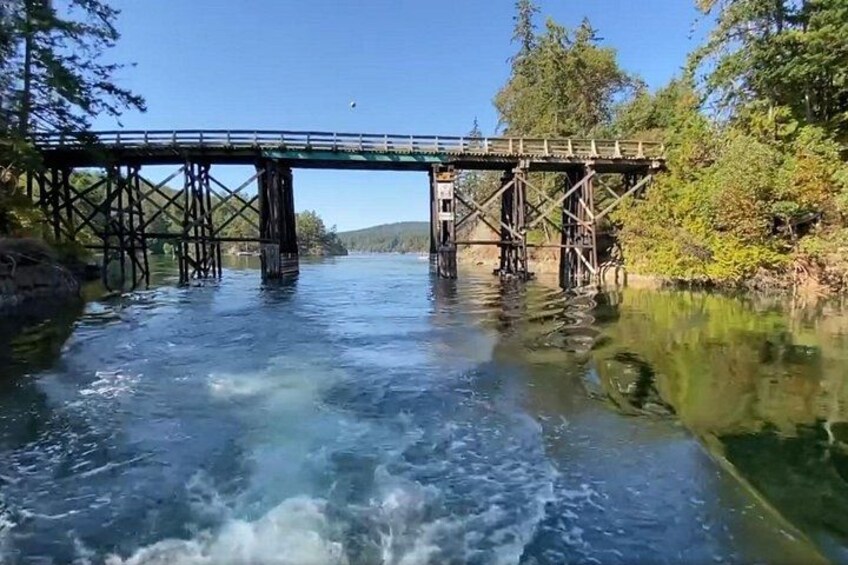 Private Boat Charter Explore Southern Gulf Islands Tour 5