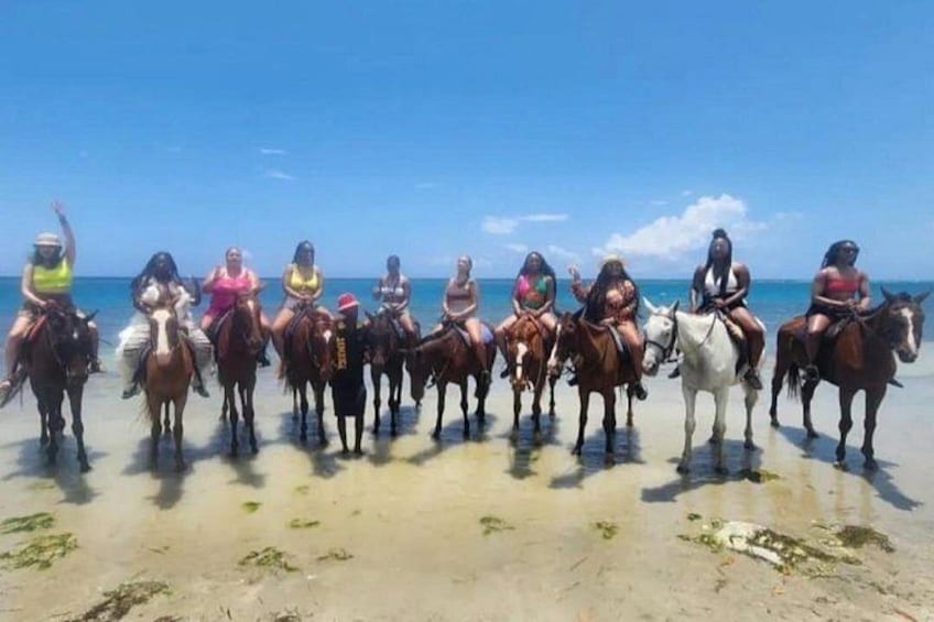 Horseback Ride and Swim Experience Montego with Transportation 5