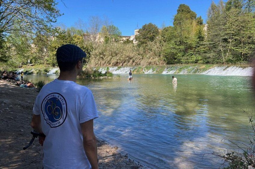 Montpellier Nature-Guided Ride to Lake Cres by Electric Bike 2