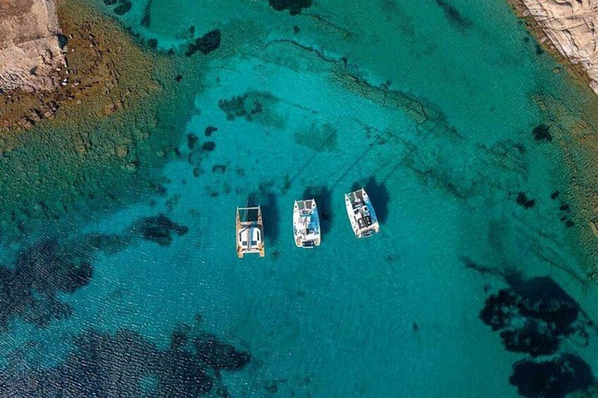 Our large catamarans 4