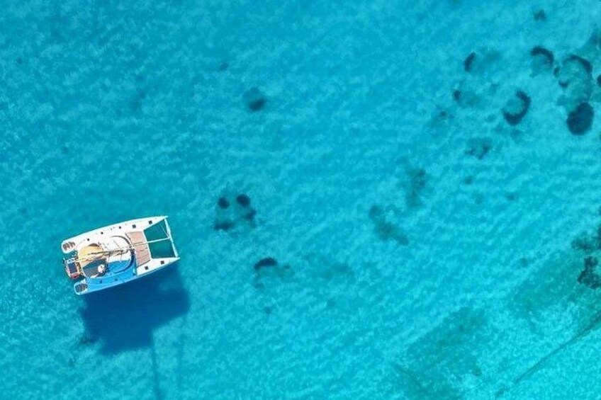 Premium Catamaran Tours, 8-flavor Feast & Drinks, Limited guests! 3