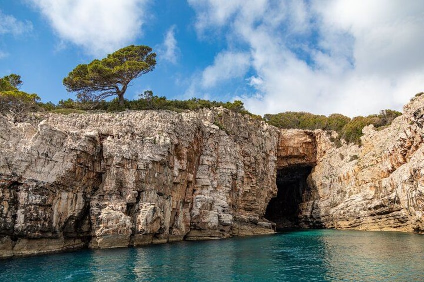 A rocky cliff with a natural cave entrance, clear blue water, and a lone tree. 4