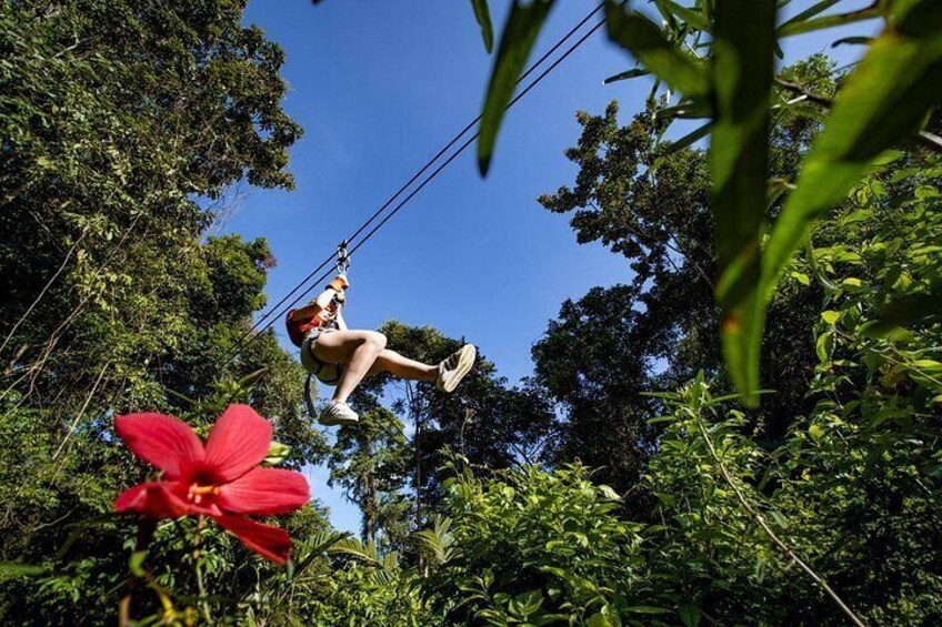 Una persona haciendo tirolesa a través de un bosque con follaje denso y una flor roja destacada en primer plano. 1
