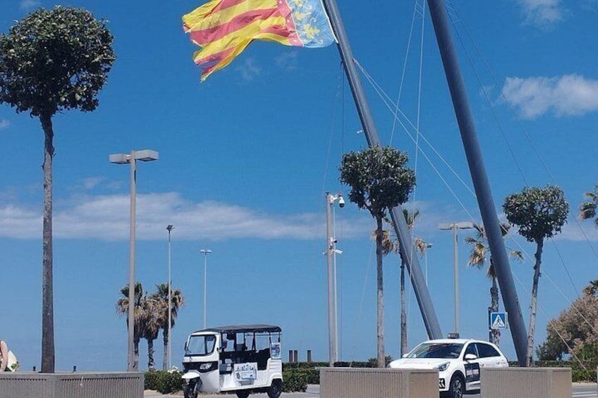 Una carretera costera con palmeras, un carrito de golf blanco y una bandera. 2
