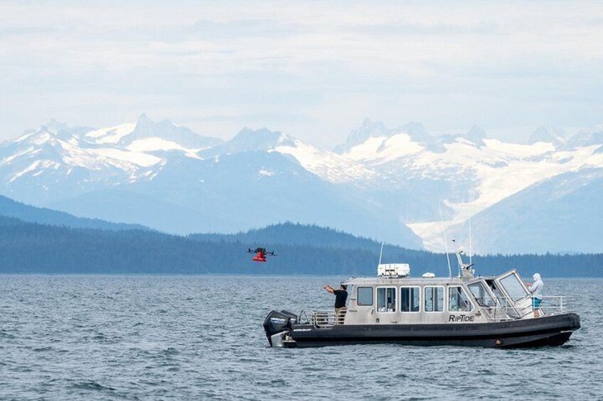 Alaska Whale Watching with bonus Drone viewing of Whales 2