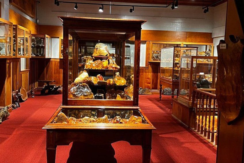 Interior de museo con una vitrina central que exhibe diversos minerales y rocas. 5