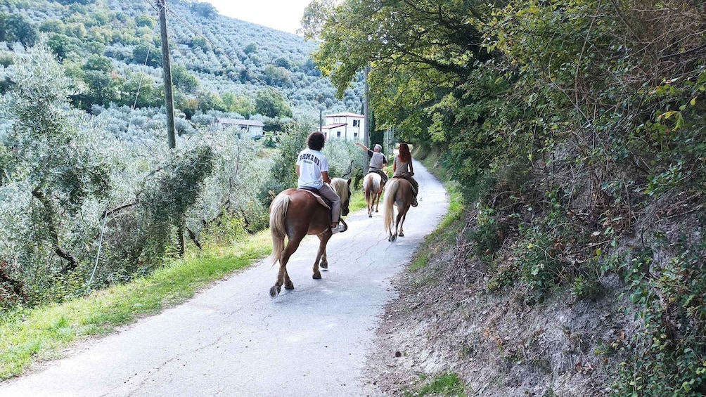 A group of people riding horses on a narrow road surrounded by trees and hills. 2