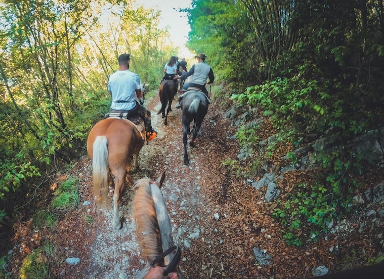 A group of people riding horses on a forest trail. 5