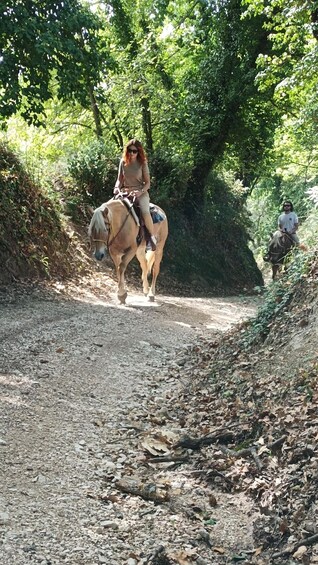 A person riding a horse on a gravel path surrounded by trees. 3