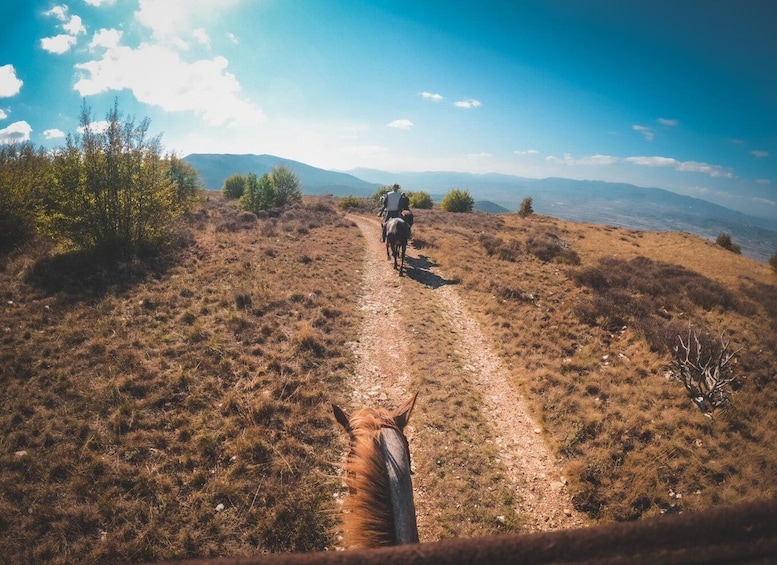 A horse and rider on a dirt trail with mountains in the background. 1