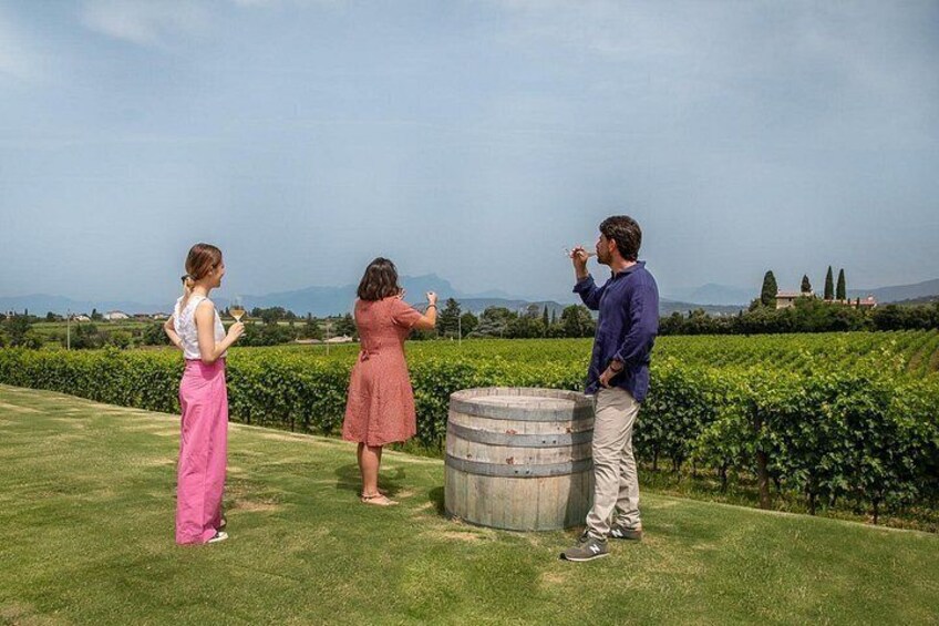 Bardolino Wine Experience 2