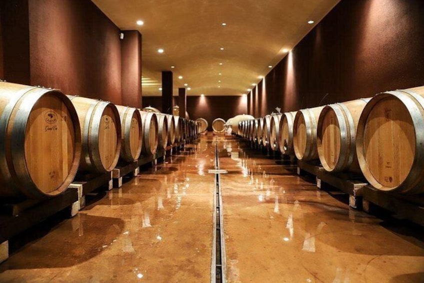 Bardolino Wine Experience 3
