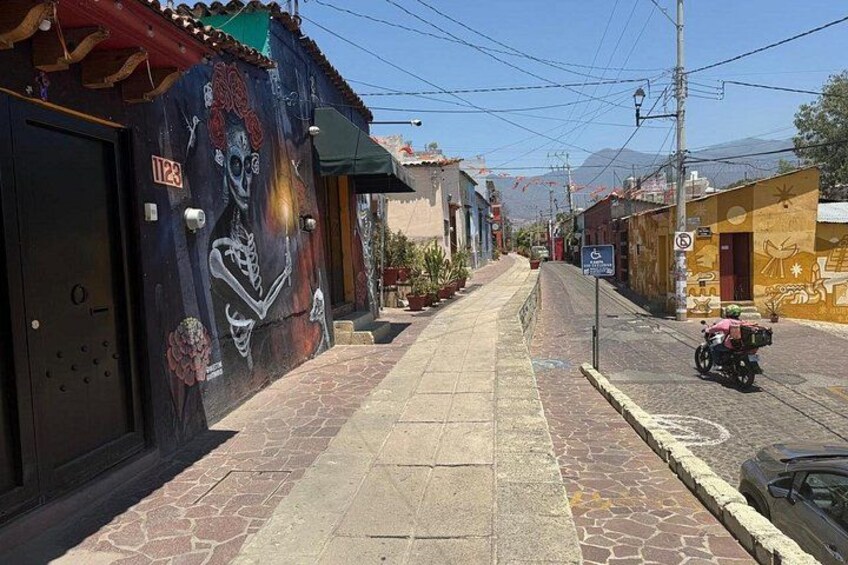 Private Tour Jalatlaco and Xochimilco in Oaxaca 4