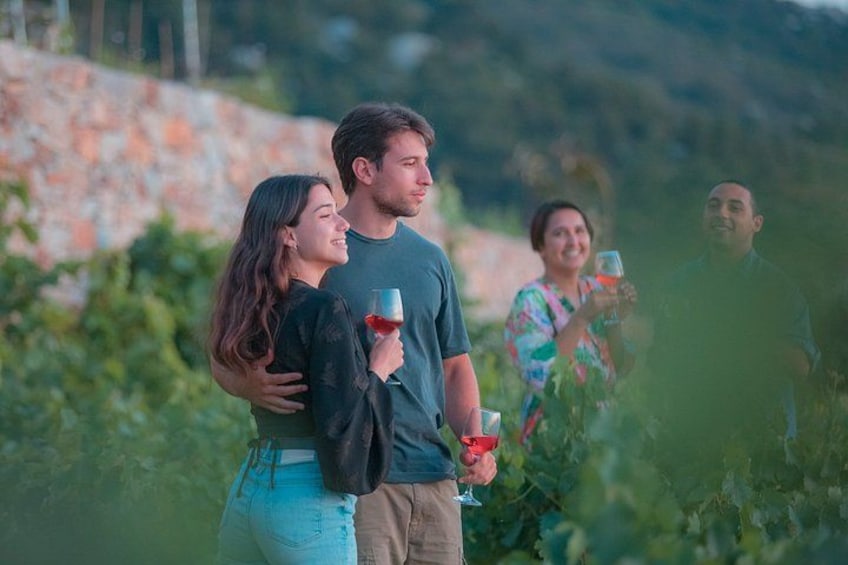Visit Family wineries of Ikaria 5