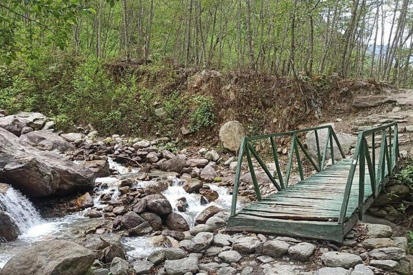 7 Days Langtang Valley Trek from Kathmandu 4