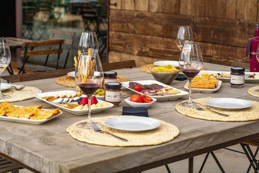 Vineyard walk and wine tasting in l’Empordà 2