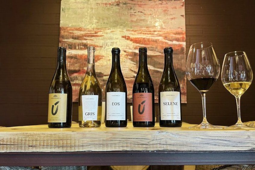 Vineyard walk and wine tasting in l’Empordà 2