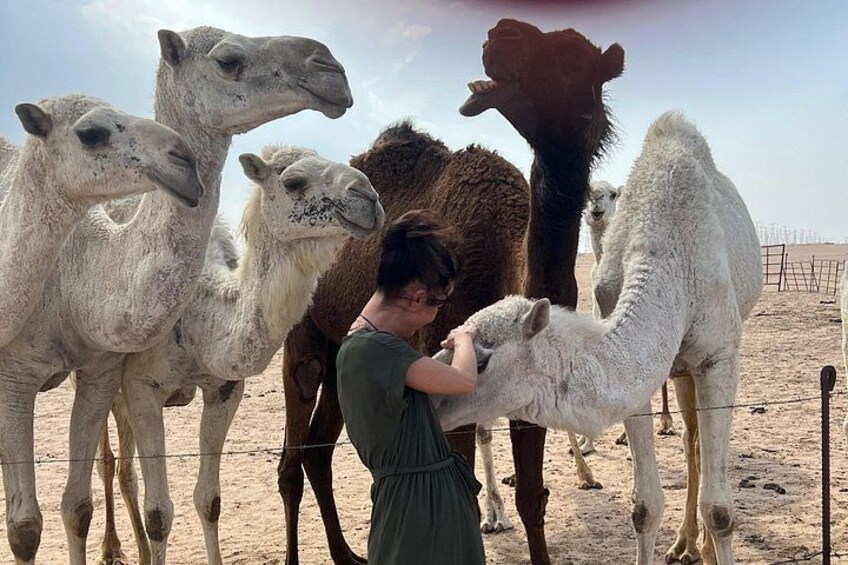 Discover Kuwait: Full-Day Landmarks Tour + Delicious Meal 5