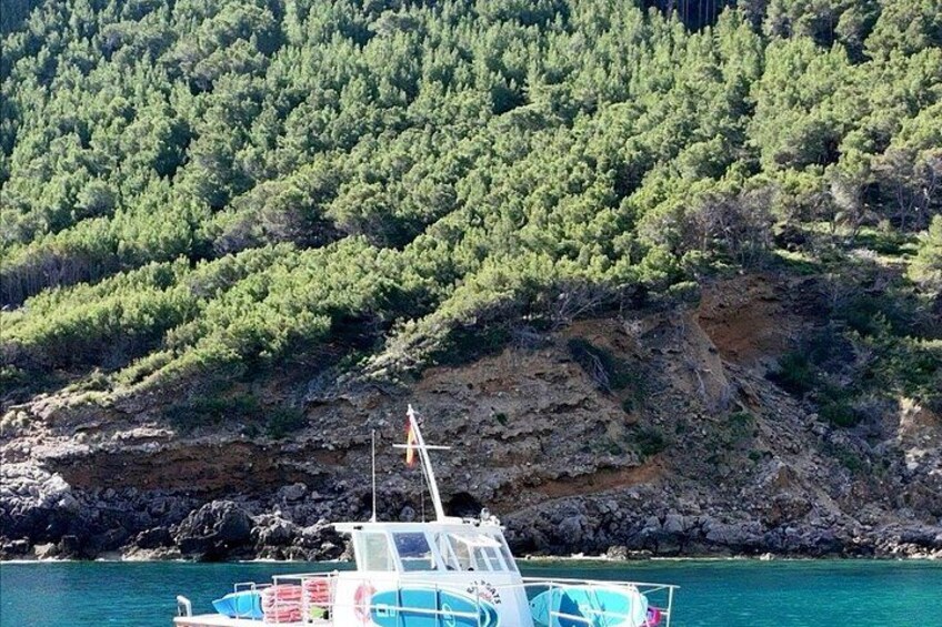 Un bote amarrado cerca de una costa rocosa con un denso bosque verde al fondo. 5