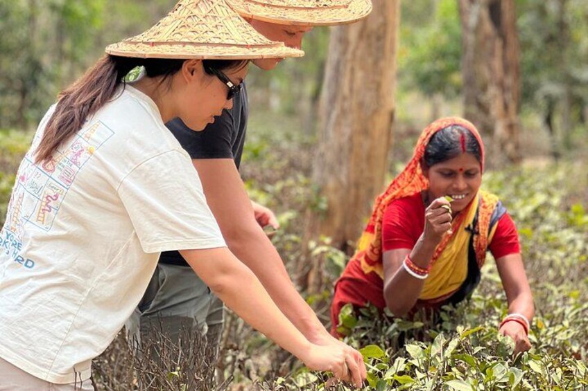 Dutch guests enjoying the lush tea plantations of Sreemangal, Sylhet, Bangladesh — a perfect blend of nature, culture, and unforgettable travel experiences. 1