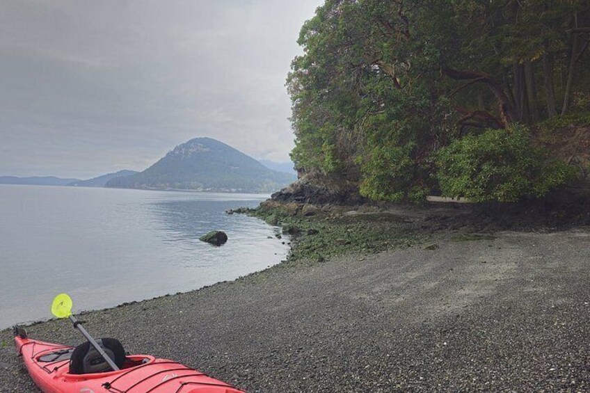 Rosario Coastal Kayak Tour on Orcas Island 5