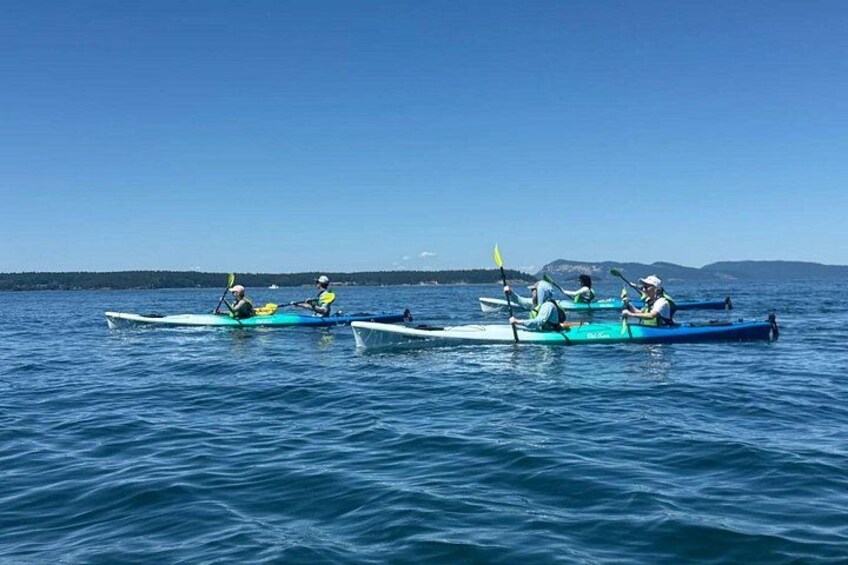 Rosario Coastal Kayak Tour on Orcas Island 2