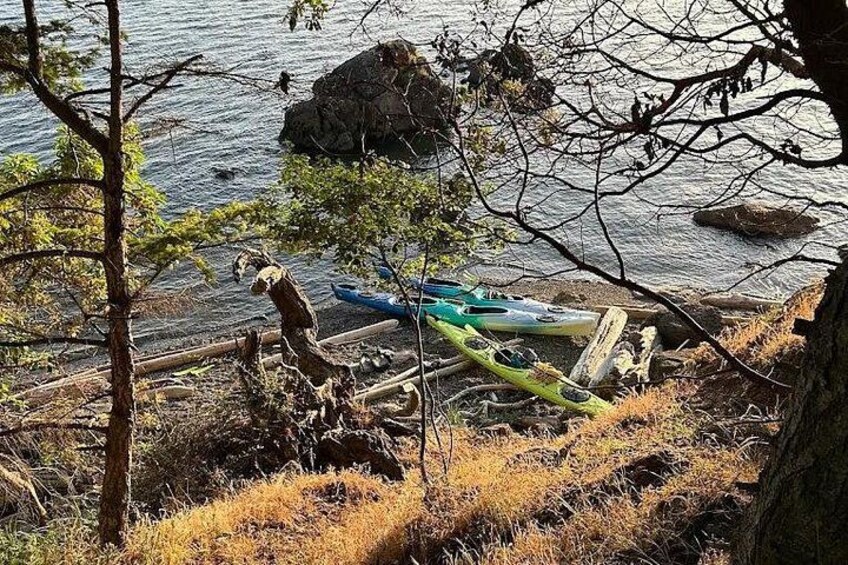 Un rivage rocheux, avec des kayaks et un arbre abattu. 3