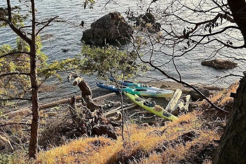 Rosario Coastal Kayak Tour on Orcas Island 4